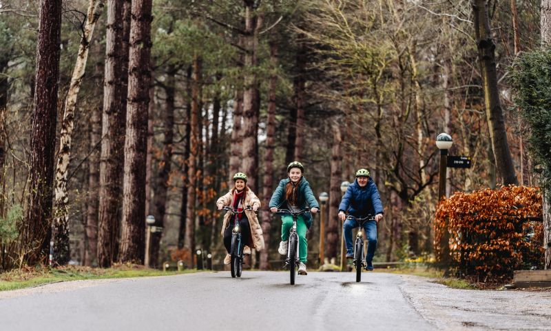 A short break in a three-bedroom Woodland Lodge for up to 6 people