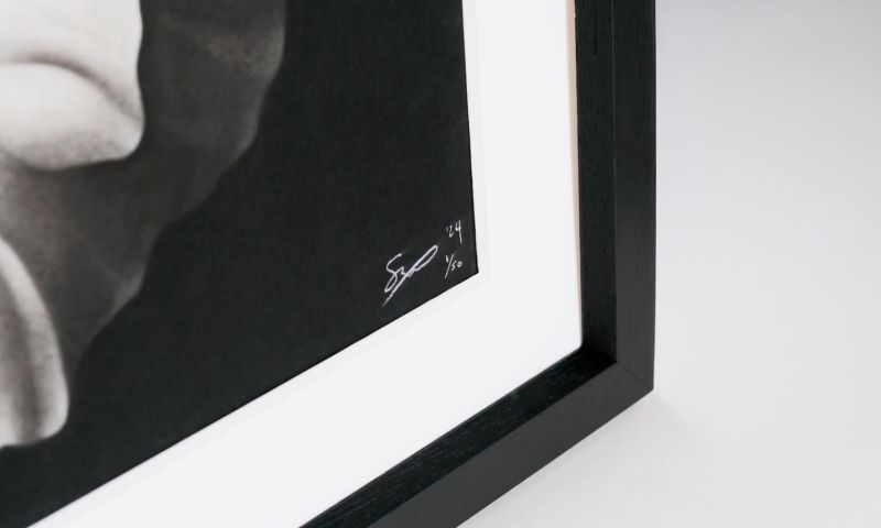LIVE AUCTION - Elegance in Pencil Strokes! 