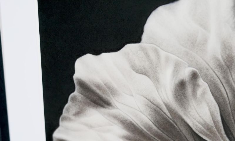LIVE AUCTION - Elegance in Pencil Strokes! 