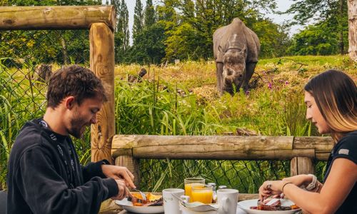 EXCLUSIVE VIP BEHIND-THE-SCENES RHINO CONSERVATION EXPERIENCE WITH CHESTER ZOO for four people