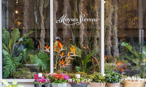 Luxury Floristry Experience for two at Moyses Stevens