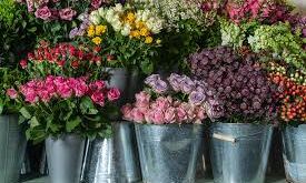 Luxury Floristry Experience for two at Moyses Stevens